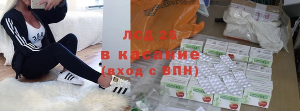 стаф Арсеньев