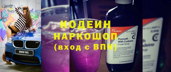 стаф Арсеньев