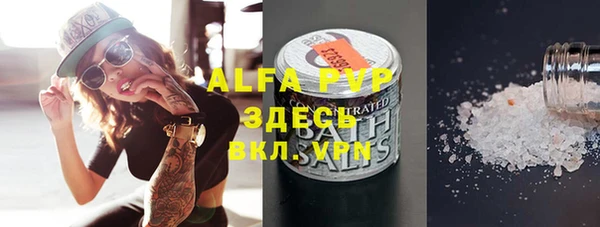 стаф Арсеньев