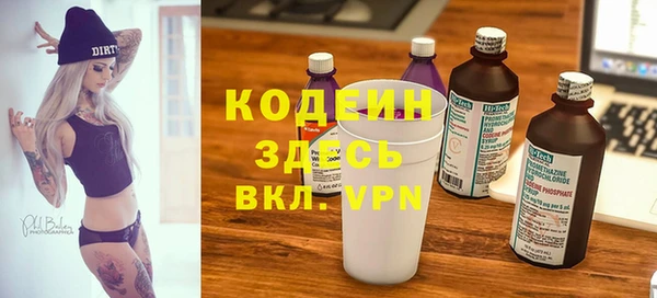 стаф Арсеньев
