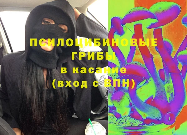 стаф Арсеньев