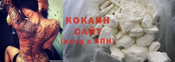 кокс Почеп