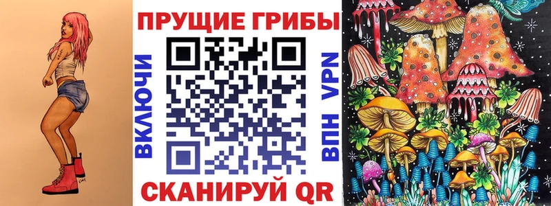Галлюциногенные грибы прущие грибы  Тейково 
